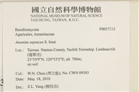 登錄號:F0037212藏品圖，第2張