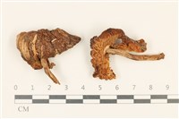 登錄號:F0037214藏品圖，第1張