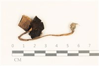 登錄號:F0037215藏品圖，第1張