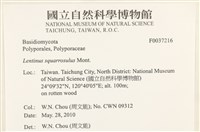登錄號:F0037216藏品圖，第2張