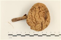 登錄號:F0037219藏品圖，第1張