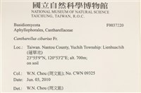 登錄號:F0037220藏品圖，第2張