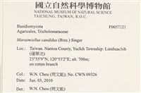 登錄號:F0037221藏品圖，第2張