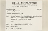 登錄號:F0037223藏品圖，第2張