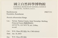 登錄號:F0037231藏品圖，第2張
