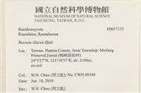 登錄號:F0037232藏品圖，第2張