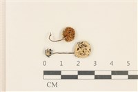 登錄號:F0037234藏品圖，第1張