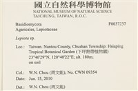 登錄號:F0037237藏品圖，第2張