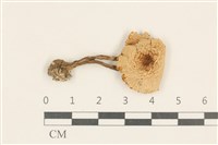 登錄號:F0037237藏品圖，第1張