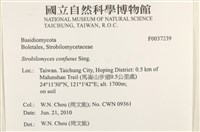 登錄號:F0037239藏品圖，第2張