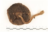 登錄號:F0037239藏品圖，第3張