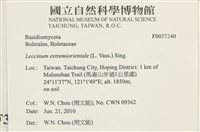 登錄號:F0037240藏品圖，第2張