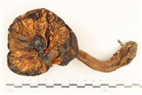 登錄號:F0037240藏品圖，第1張