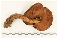 登錄號:F0037240藏品圖，第3張