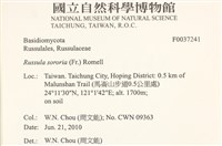 登錄號:F0037241藏品圖，第2張