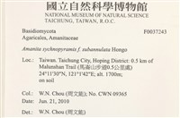 登錄號:F0037243藏品圖，第2張