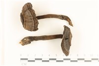 登錄號:F0037247藏品圖，第1張