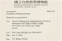 登錄號:F0037248藏品圖，第2張