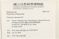 登錄號:F0037249藏品圖，第2張
