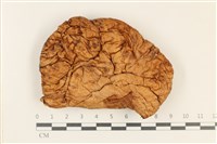 登錄號:F0037249藏品圖，第1張
