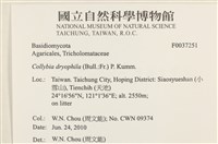 登錄號:F0037251藏品圖，第2張