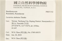 登錄號:F0037252藏品圖，第2張