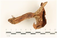 登錄號:F0037252藏品圖，第1張