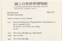 登錄號:F0037255藏品圖，第2張