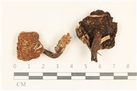 登錄號:F0037256藏品圖，第1張