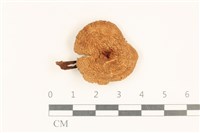 登錄號:F0037257藏品圖，第1張