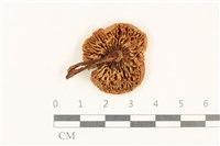 登錄號:F0037257藏品圖，第3張