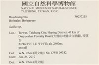 登錄號:F0037258藏品圖，第2張