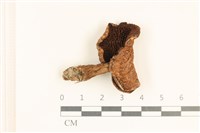 登錄號:F0037258藏品圖，第1張