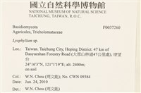 登錄號:F0037260藏品圖，第2張
