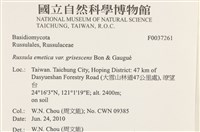 登錄號:F0037261藏品圖，第2張