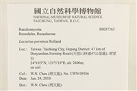 登錄號:F0037262藏品圖，第2張