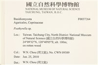登錄號:F0037264藏品圖，第2張