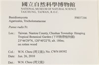 登錄號:F0037266藏品圖，第2張