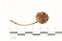 登錄號:F0037267藏品圖，第1張