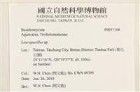 登錄號:F0037268藏品圖，第2張