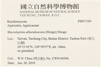登錄號:F0037269藏品圖，第2張
