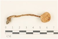 登錄號:F0037269藏品圖，第1張