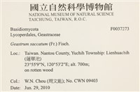 登錄號:F0037273藏品圖，第2張