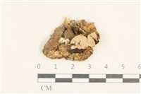 登錄號:F0037273藏品圖，第1張
