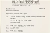 登錄號:F0037276藏品圖，第2張