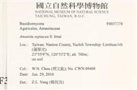 登錄號:F0037278藏品圖，第2張