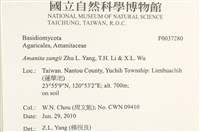 登錄號:F0037280藏品圖，第2張