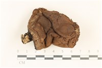 登錄號:F0037281藏品圖，第1張