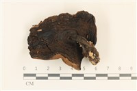 登錄號:F0037281藏品圖，第3張