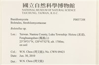 登錄號:F0037288藏品圖，第2張